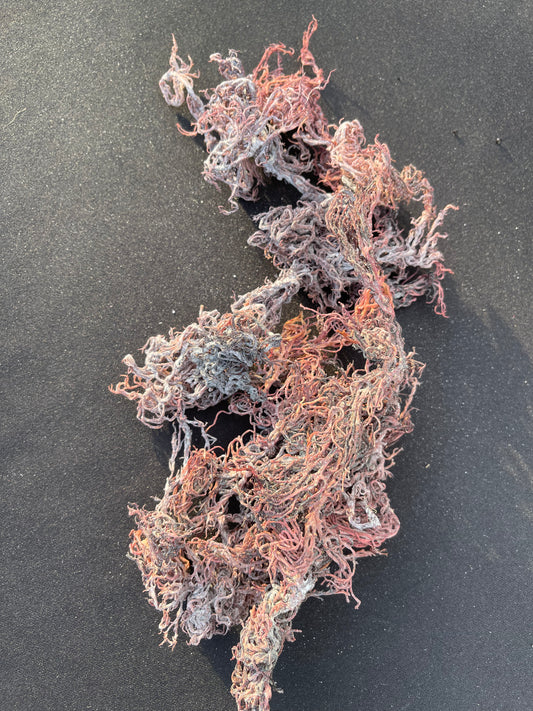 Plain Purple Sea moss Gel