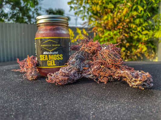 Plain Purple Sea moss Gel